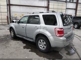 Ford Escape Limited 1FMCU9EG7BKA82226 снимка