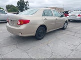 Toyota Corolla Le 1NXBU40E59Z030953 снимка