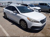 Hyundai Sonata Sport 5NPE34AF7GH288393 photo