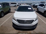 Hyundai Sonata Sport 5NPE34AF7GH288393 photo