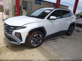 Hyundai Tucson Sel 5NMJB3DE0TH691802 fotografie