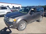 Ford Escape Xls 1FMCU9C77BKA25995 fotografie