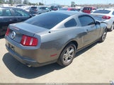 Ford Mustang V6 1ZVBP8AN9A5123794 fotografie