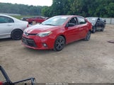 Toyota Corolla Le Plus 2T1BURHE0GC549036 photo