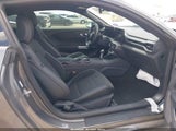 Ford Mustang Ecoboost Fastback 1FA6P8TH5S5119597 fotografie