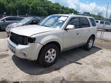 Ford Escape Limited 1FMCU94G59KB53936 fotografie