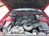 Ford Mustang V6 Deluxe/V6 Premium 1ZVFT80N855172084 photo