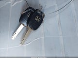 Miniaturka zdjęcia 11