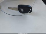 Miniaturka zdjęcia 11