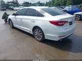 Hyundai Sonata Sport 5NPE34AF2FH077326 снимка