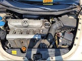 Volkswagen New Beetle 2.5 3VWRW31C87M504980 photo