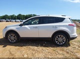 Toyota Rav4 Hybrid Limited JTMDJREV5GD054548 fotografie