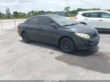 Toyota Corolla Le JTDBU4EE4AJ071707 fotografie