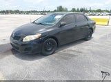 Toyota Corolla Le JTDBU4EE4AJ071707 fotografie