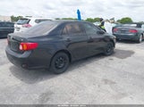 Toyota Corolla Le JTDBU4EE4AJ071707 fotografie