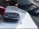 Miniaturka zdjęcia 11