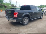 Ford F-150 Xlt 1FTEW1EGXGKE03806 снимка