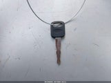 Miniaturka zdjęcia 11