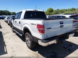 Ford F-150 Xlt 1FTFW1ET0BFC11264 снимка