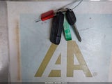 Miniaturka zdjęcia 11