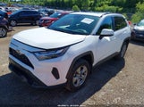 Miniaturka zdjęcia 2