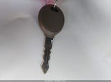 Miniaturka zdjęcia 11