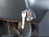 Miniaturka zdjęcia 11