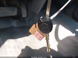 Miniaturka zdjęcia 11