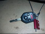 Miniaturka zdjęcia 11