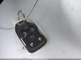 Miniaturka zdjęcia 11