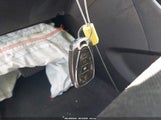 Miniaturka zdjęcia 11