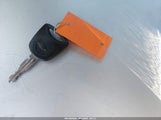 Miniaturka zdjęcia 11