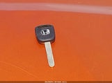 Miniaturka zdjęcia 11