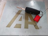 Miniaturka zdjęcia 11