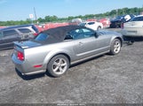 Ford Mustang Gt Deluxe/Gt Premium 1ZVHT85H385170971 снимка