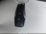Miniaturka zdjęcia 11