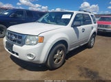 Ford Escape Xlt 1FMCU93789KA99758 fotografie
