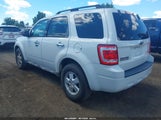 Ford Escape Xlt 1FMCU93789KA99758 fotografie