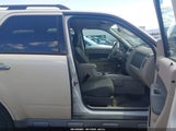Ford Escape Xlt 1FMCU93789KA99758 fotografie