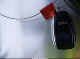 Miniaturka zdjęcia 11