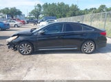 Hyundai Sonata Sport 5NPE34AFXGH420580 photo
