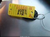 Miniaturka zdjęcia 11