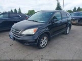 Honda Cr-V Ex-L 5J6RE4H77AL810673 fotografie