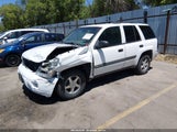 Chevrolet Trailblazer Ls 1GNDT13S642305614 fotografie