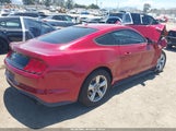 Ford Mustang Ecoboost 1FA6P8TH5K5193327 photo