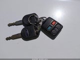 Miniaturka zdjęcia 11