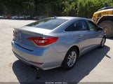 Hyundai Sonata Se 5NPE24AF6GH337571 fotografie