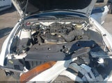 Ford Mustang V6 1ZVFT80N165174745 photo