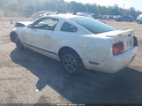 Ford Mustang V6 1ZVFT80N165174745 photo