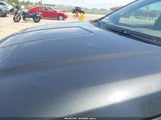 GMC Terrain Denali 3GKALXEX5JL281280 photo